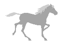 running-bluehorse